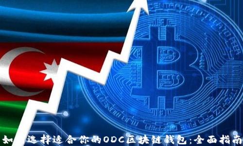 
如何选择适合你的ODC区块链钱包：全面指南